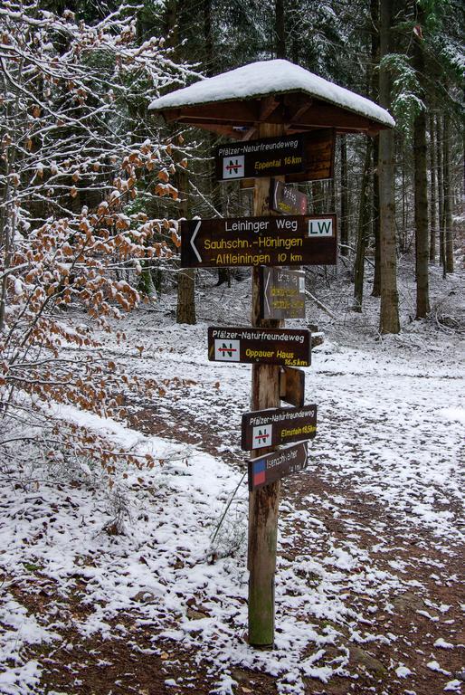 Naturfreundehaus Rahnenhof Carlsberg 外观 照片